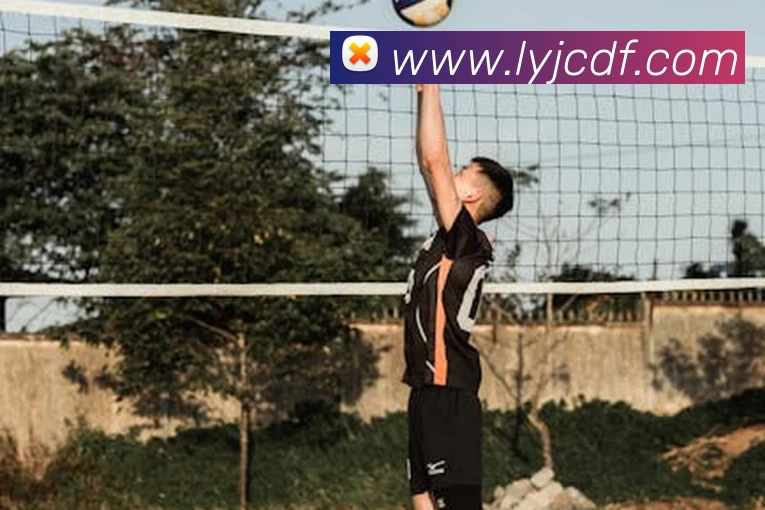 巅峰国际品牌故事