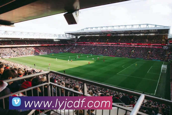 巅峰国际服务体系